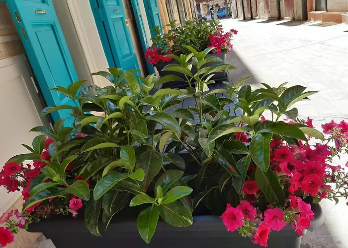 Canzone del sole Margherita Di Savoia
